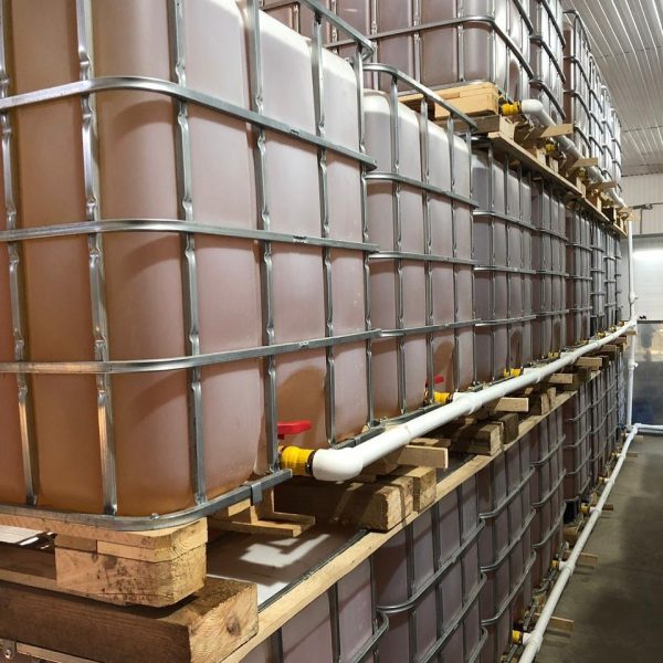 Sunflower Oil For Sale - Image 5