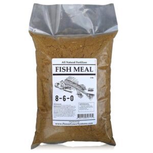 fish meal