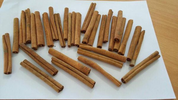 cinnamon sticks