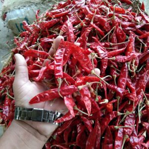 dried chiles​