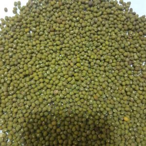 mung bean seeds