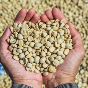 YIRGACHEFFE WASHED COFFEE