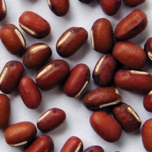 Adzuki Bean