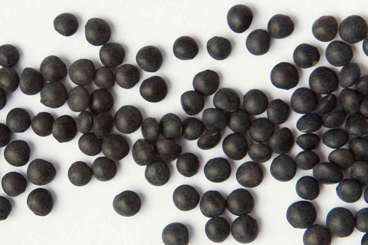 Black Lentil
