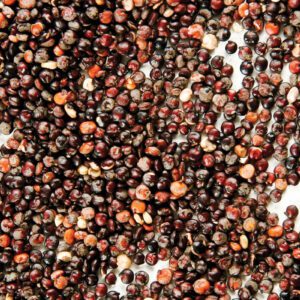Black Quinoa