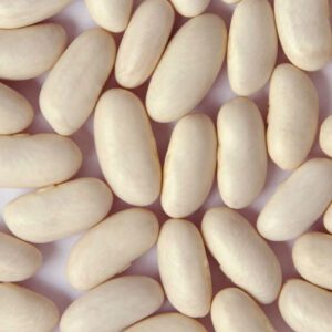 Cannellini Bean