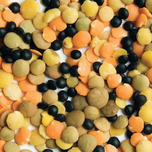 Chicken Scratch Lentil Blend