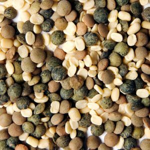 Desert Sage Lentil