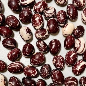 Good Mother Stallard