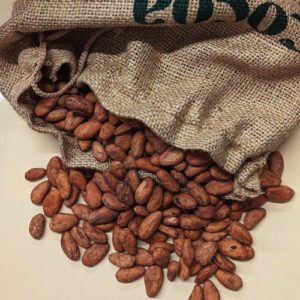 Hacienda Victoria Raw Cacao Beans - Ecuadorian Single Plantation