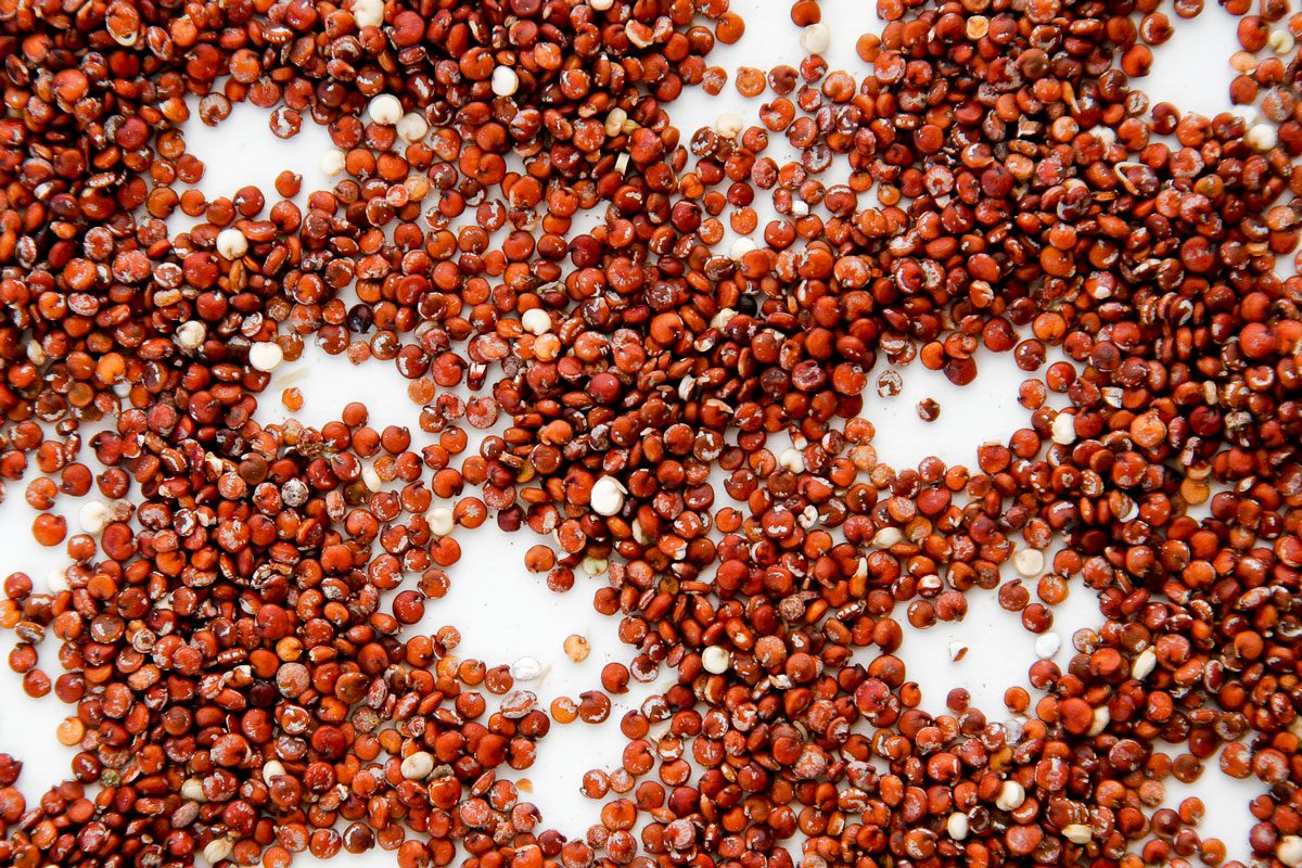 Red Quinoa