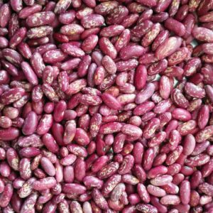 RED SPICKLED KIDNEY BEANS