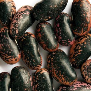 Scarlet Runner Beans