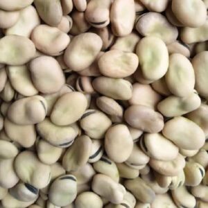 SINGLE HERB HORSE BEANS - FungCal Trading Company Ltd