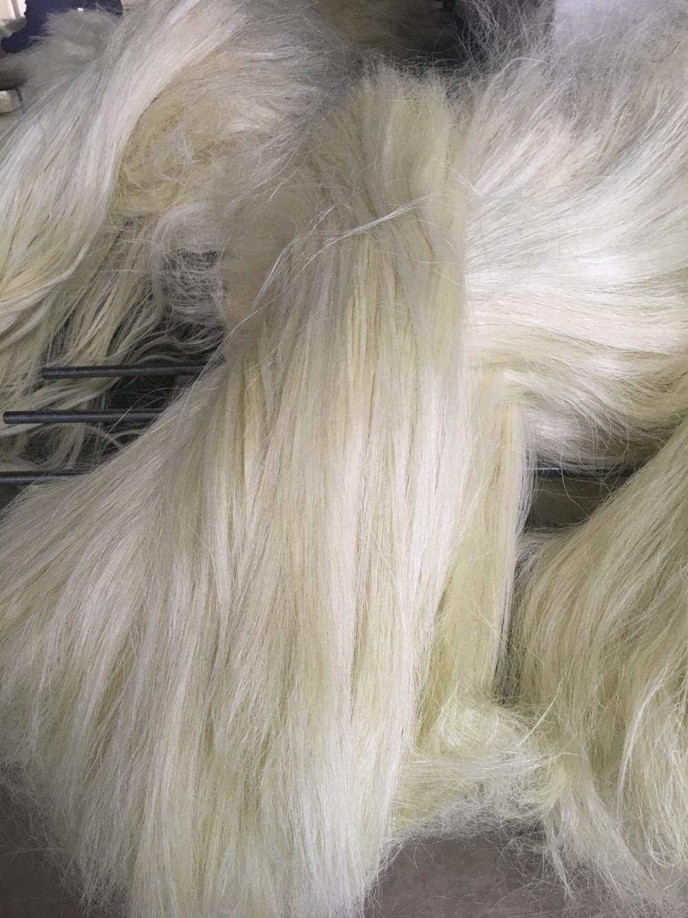 Sisal Fiber Grade 3L (3 Long) - FungCal Trading Company Ltd