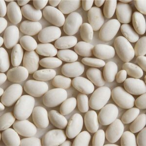 Small White Bean