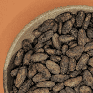 Ucayali- Peruvian Cacao Beans